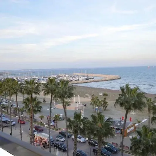 Les Palmiers (Larnaka) - zdjęcie 3