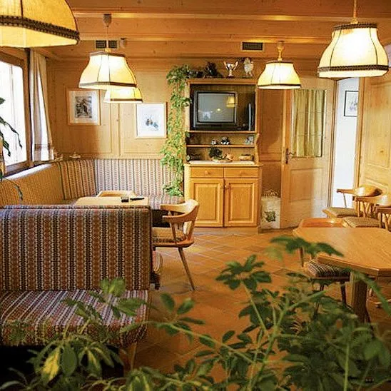 Gardenia (Isolaccia) - zdjęcie 4