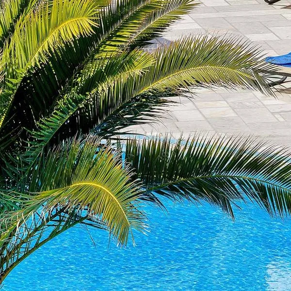 Aegean Plaza (Kamari) - zdjęcie 3