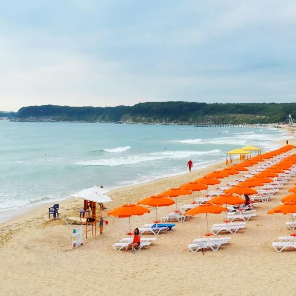 Forest Beach - zdjęcie 5