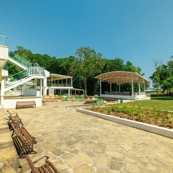 Forest Beach - zdjęcie 2