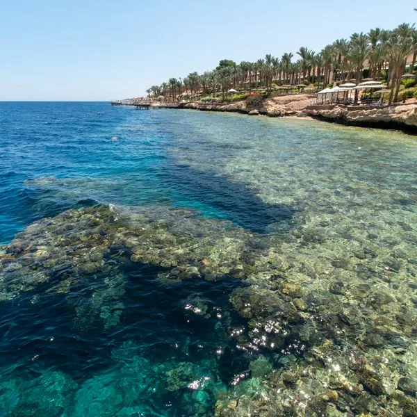 Grand Rotana Resort & Spa - zdjęcie 4