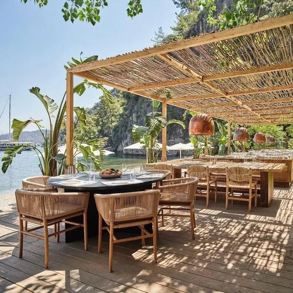 Yazz Collective - zdjęcie 2