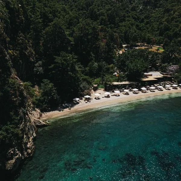 Yazz Collective - zdjęcie 5