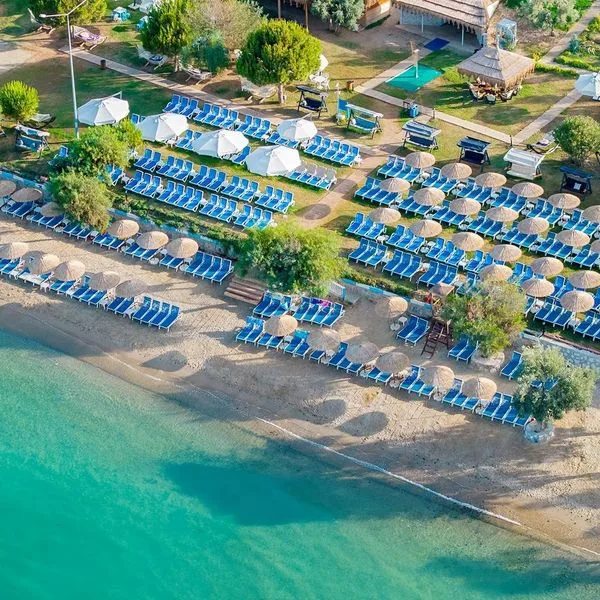 Maxeria Blue Didyma - zdjęcie 4