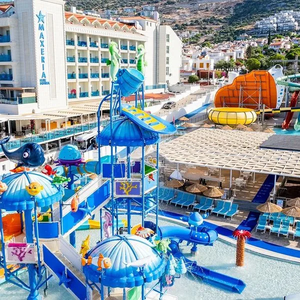 Maxeria Blue Didyma - zdjęcie 3