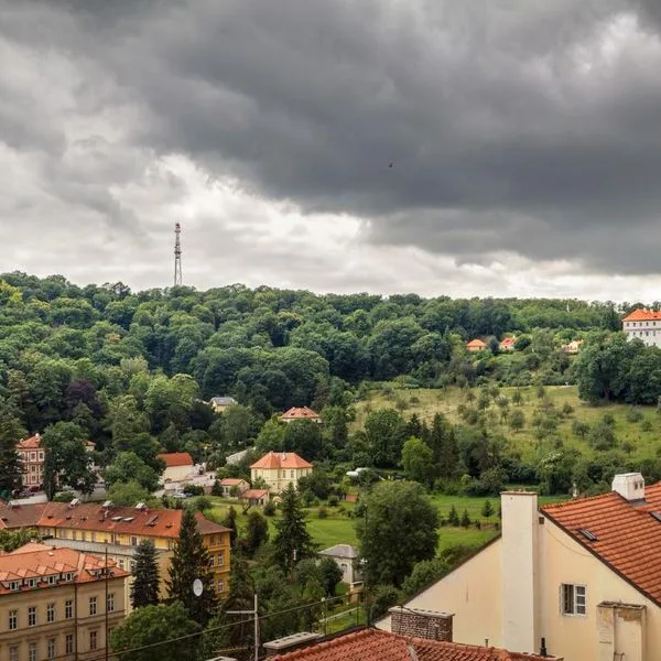 Golden Star - zdjęcie 5