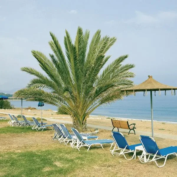 Natura Beach - zdjęcie 4