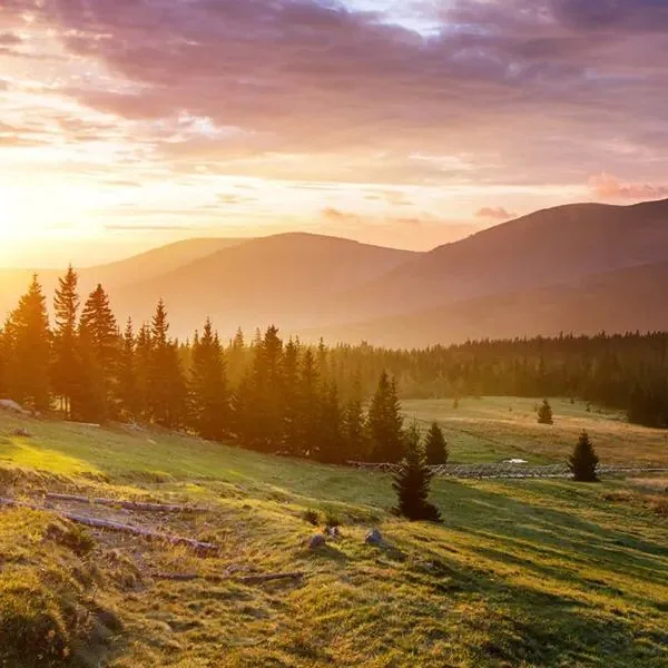 Villa Karpacz - zdjęcie 4