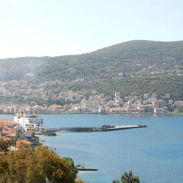 Anthemis - zdjęcie 2