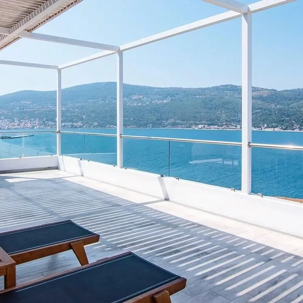 Anthemis - zdjęcie 5