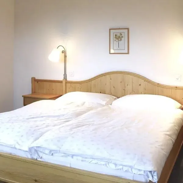 Alpina Parpan - zdjęcie 5