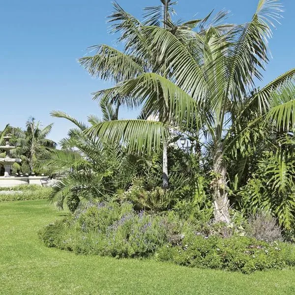 Atlantic El Tope (ex. El Tope) - zdjęcie 5