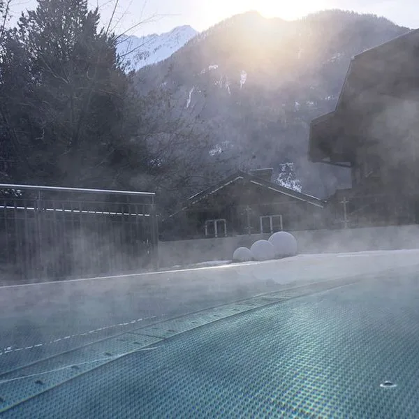 Venediger Lodge - zdjęcie 4