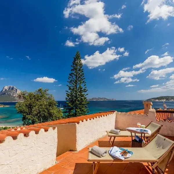 Don Diego - zdjęcie 4