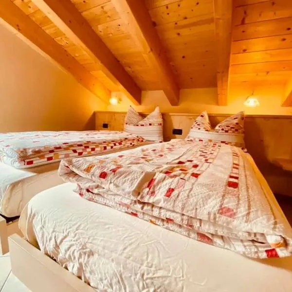 Sunflower - zdjęcie 4