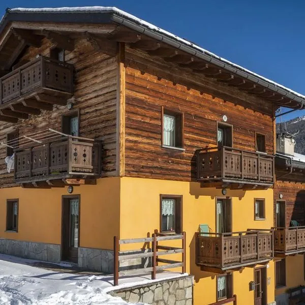 Sunflower - zdjęcie 2