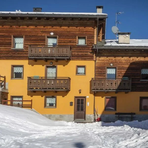 Sunflower - zdjęcie 3