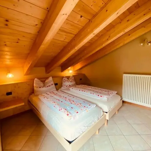 Sunflower - zdjęcie 5