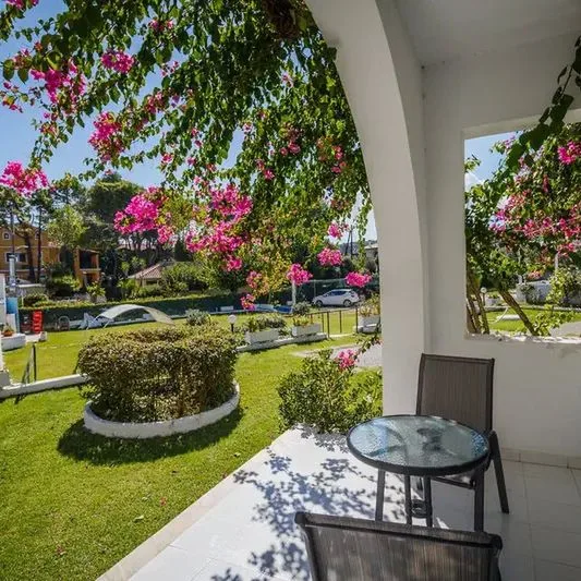 Paradise Hotel - zdjęcie 3