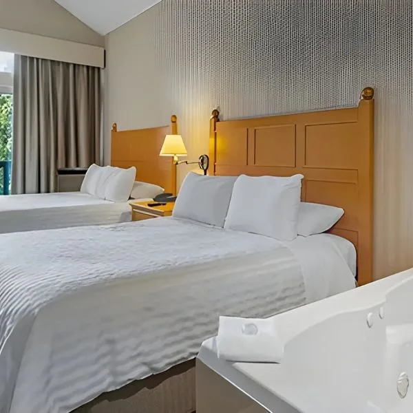 Pinnacle - zdjęcie 4