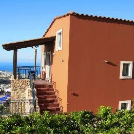 Amazones Driades - zdjęcie 2