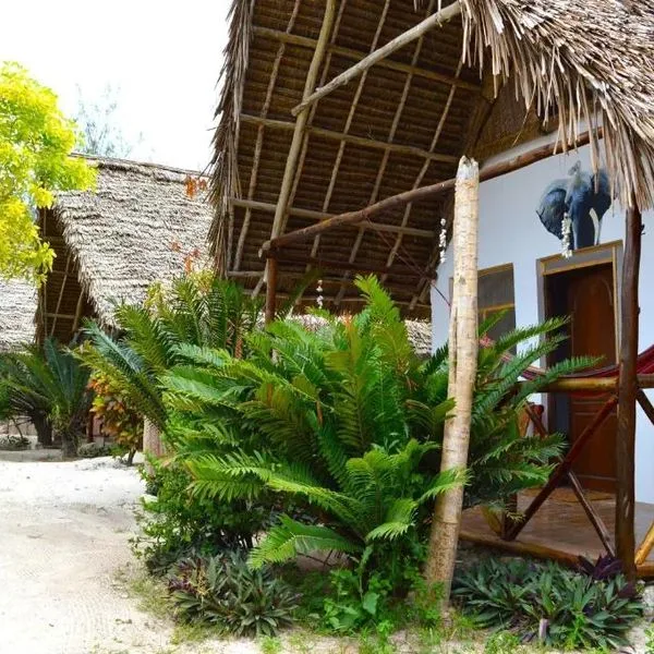 New Jambo Bungalows - zdjęcie 5