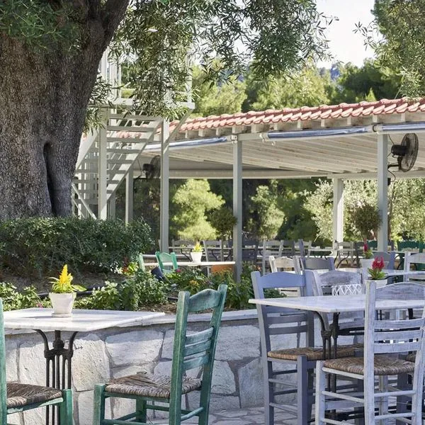 Mirabilia Boutique - zdjęcie 2