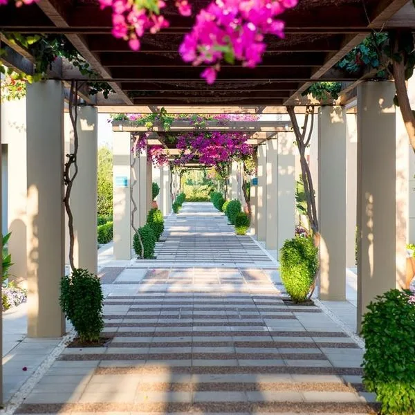 Astir Odysseus - zdjęcie 4