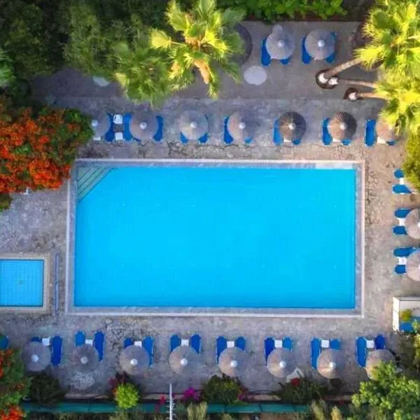 Veronica (Paphos) - zdjęcie 3