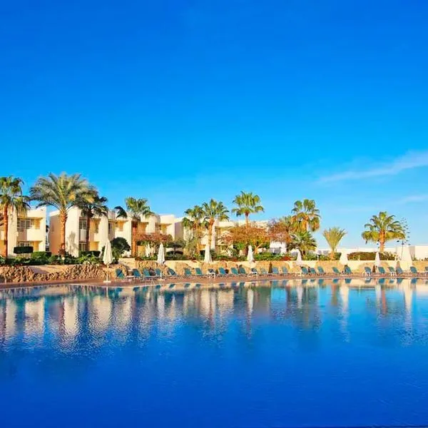 Sharm Reef - zdjęcie 3