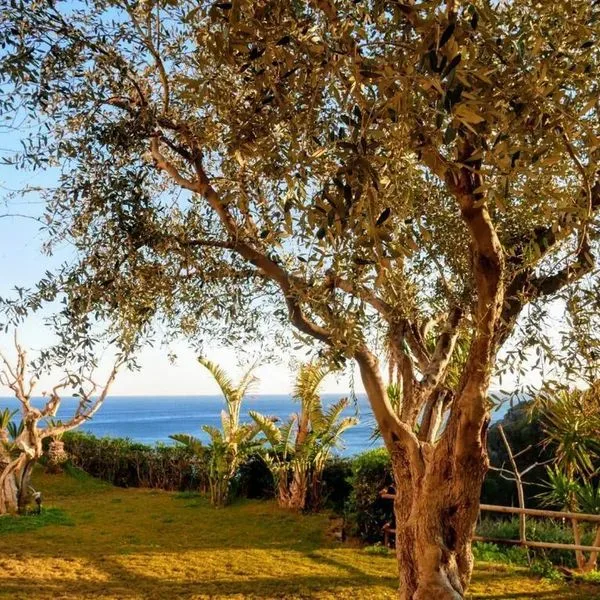 Torre SantAngelo - zdjęcie 3