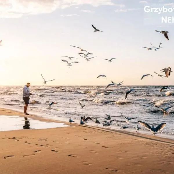 Nickel Resort & Wellnest - zdjęcie 5