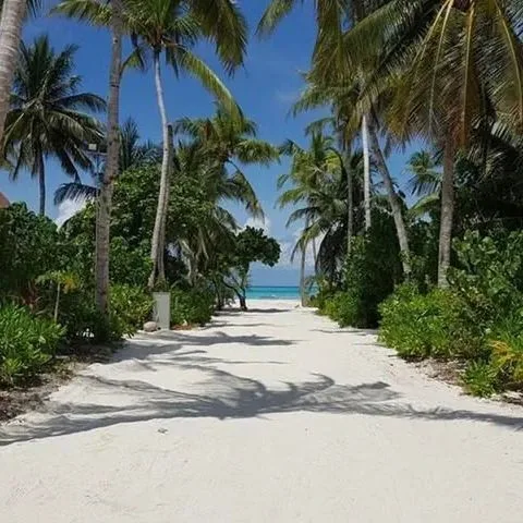 Cinnamon Velifushi Maldives - zdjęcie 4