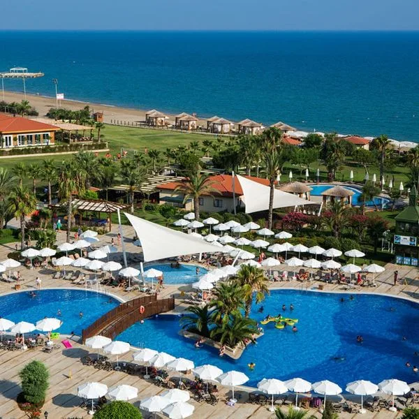 Bellis Deluxe - zdjęcie 3