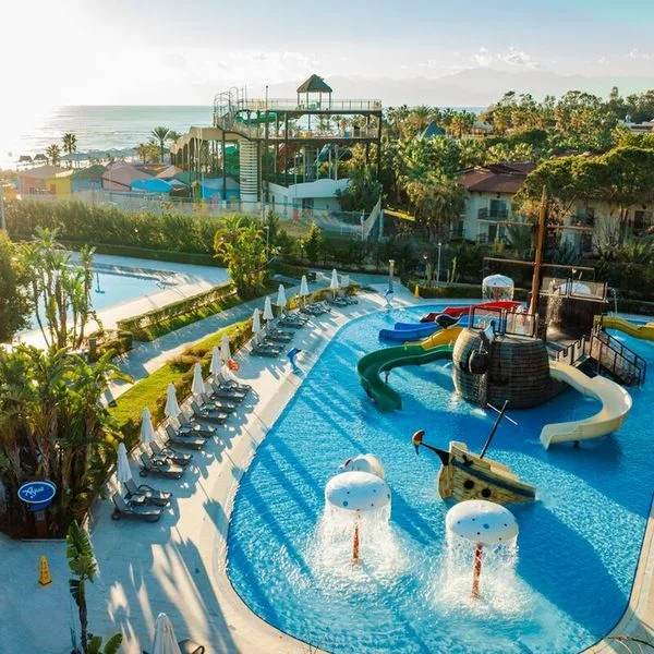 Bellis Deluxe - zdjęcie 5