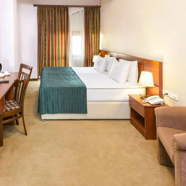 Ani Central Inn - zdjęcie 3