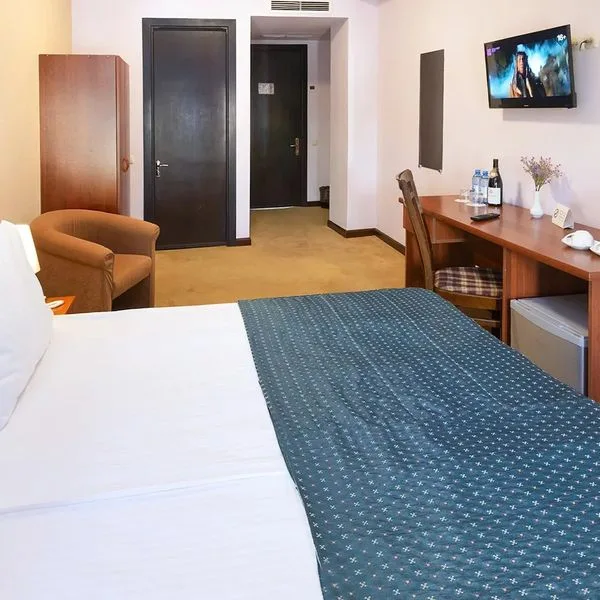 Ani Central Inn - zdjęcie 4