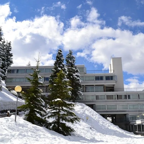 Solaria (Marilleva) - zdjęcie 5