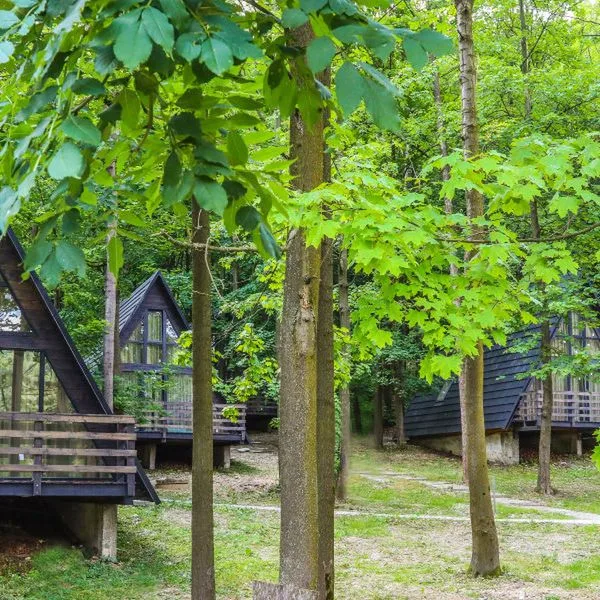 Magnus Resort (ex. Golden Tulip Magnus) - zdjęcie 3