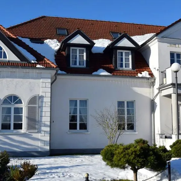 Pałac i Folwark Nemino - zdjęcie 2