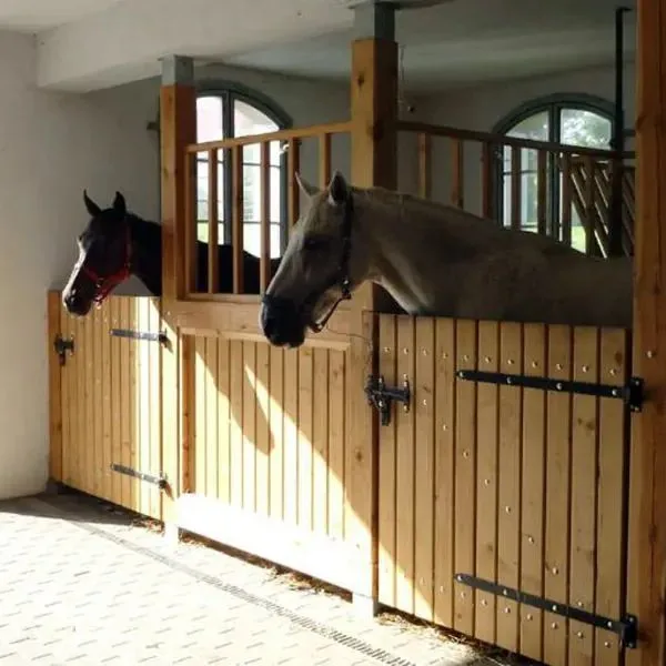 Pałac i Folwark Nemino - zdjęcie 4