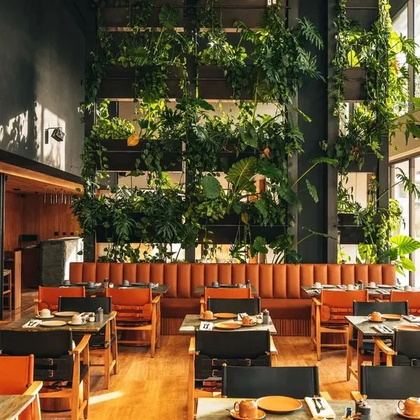 M Boutique Hotel (ex. Daphne) - zdjęcie 2