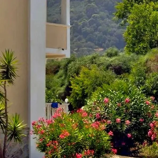 Stamiris - zdjęcie 2