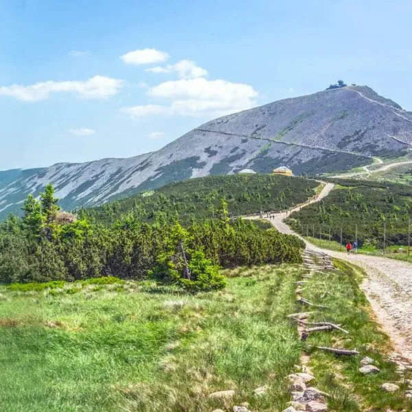 Sun & Snow Domki Sarnia Karpacz - zdjęcie 3