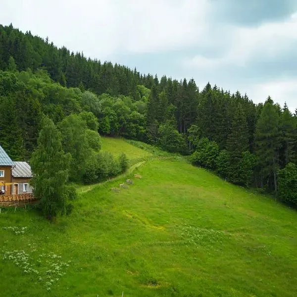 Chata Orlik (Pec pod Śnieżką) - zdjęcie 5