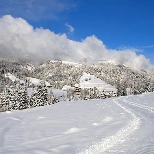 La Molinella - zdjęcie 3