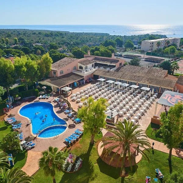 HYB Eurocalas - zdjęcie 3