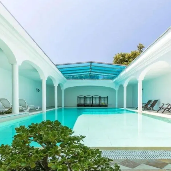 Bonsai (San Teodoro) - zdjęcie 2