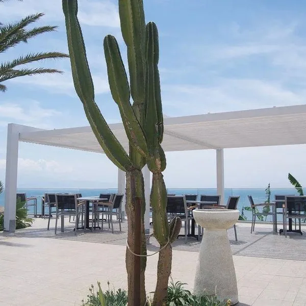 Sciaron - zdjęcie 5